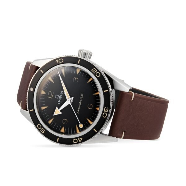 Omega Seamaster 300 Co-Axial Master Chronometer 41mm Mens Watch O23432412101001