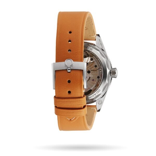 Omega Seamaster 300 Co-Axial Master Chronometer 41mm Mens Watch O23432412103001