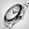 Omega Seamaster 300m 42mm Mens Watch O21030422004001