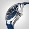 Omega Seamaster Aquaterra 41 Mens Watch O22012412103001