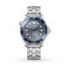 Omega Seamaster Diver 300 Co-Axial Mens Watch O21030422006001