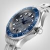 Omega Seamaster Diver 300 Co-Axial Mens Watch O21030422006001