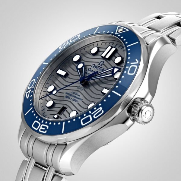 Omega Seamaster Diver 300 Co-Axial Mens Watch O21030422006001