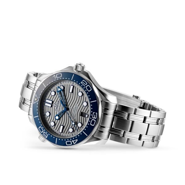 Omega Seamaster Diver 300 Co-Axial Mens Watch O21030422006001