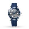 Omega Seamaster Pro-Diver 300 Mens Watch O21032422006001