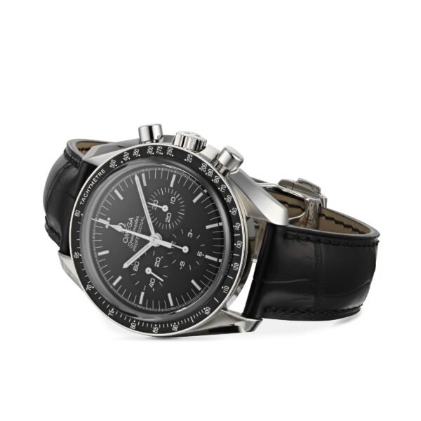 Omega Speedmaster Moonwatch Professional 42mm Mens Watch O31133423001002