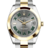 Rolex Datejust 41 Oyster 41 mm Oystersteel and yellow gold m126303-0019