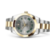 Rolex Datejust 41 Oyster 41 mm Oystersteel and yellow gold m126303-0019