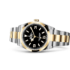Rolex Explorer Oyster 36 mm Oystersteel and yellow gold m124273-0001